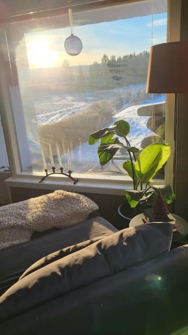 Skogro Ved Norefjell Noresund 外观 照片